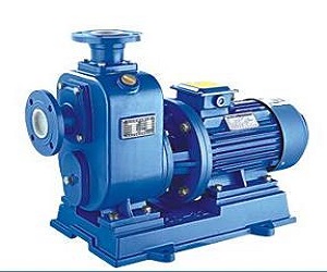 020272L-MOTOR